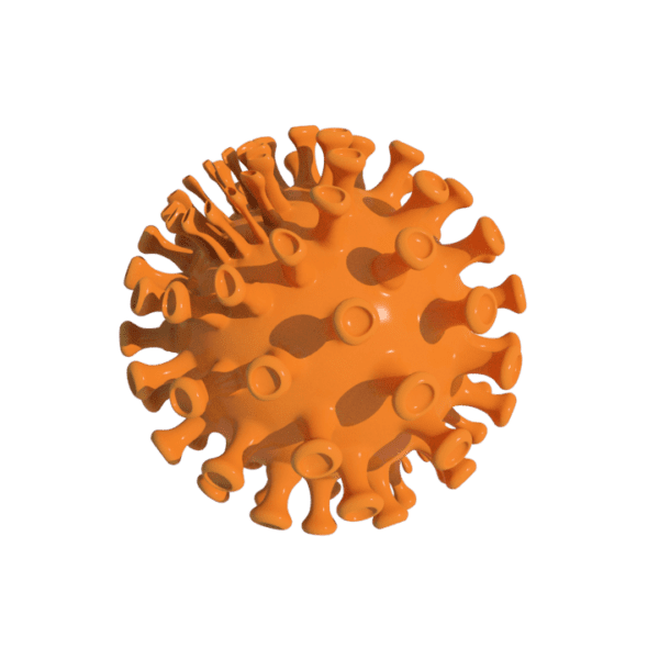 Covid 3D model