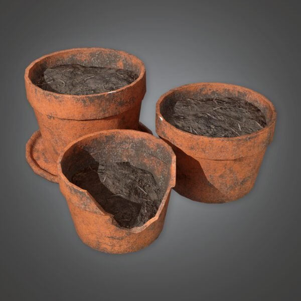 Masseter 3d models