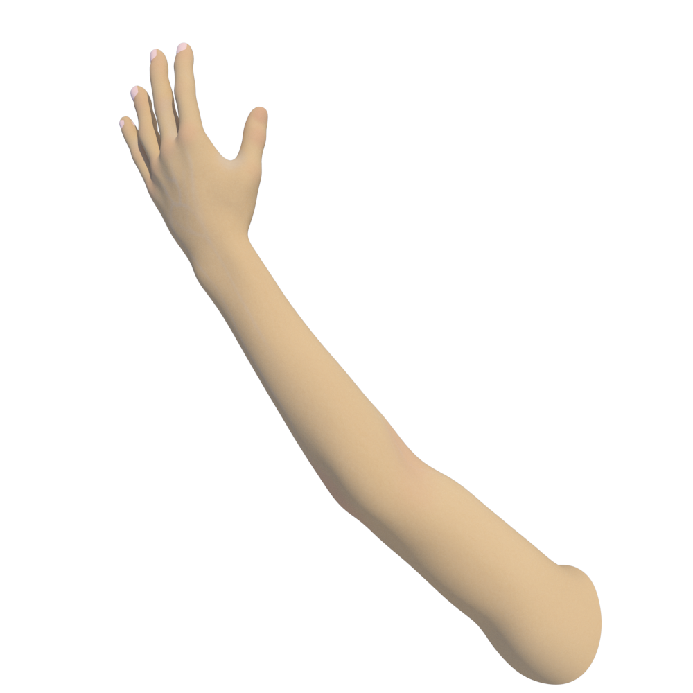 hand 3d models download